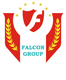 Falcon Business Solution Pvt. Ltd.